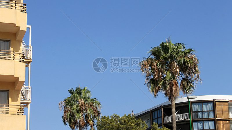 带老人邮轮旅行，选择最佳出行时间的五大关键